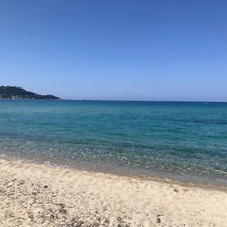En Bord De Calcatoggio (Corsica)