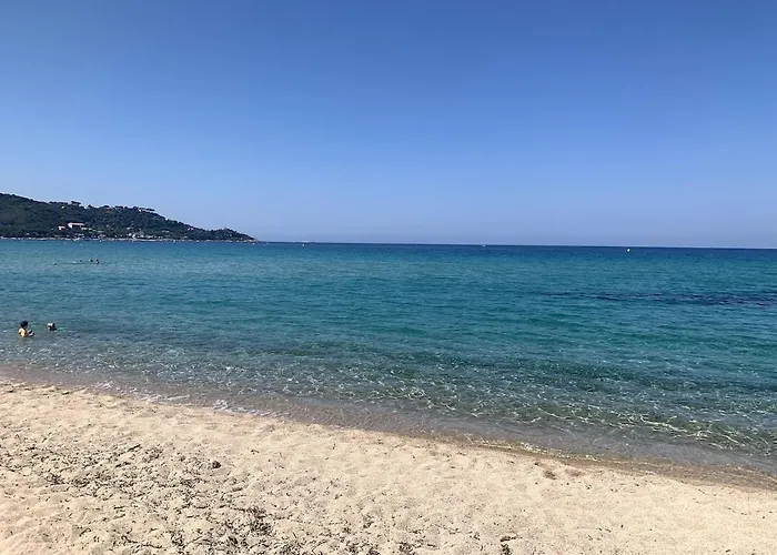 En Bord De Calcatoggio (Corsica)
